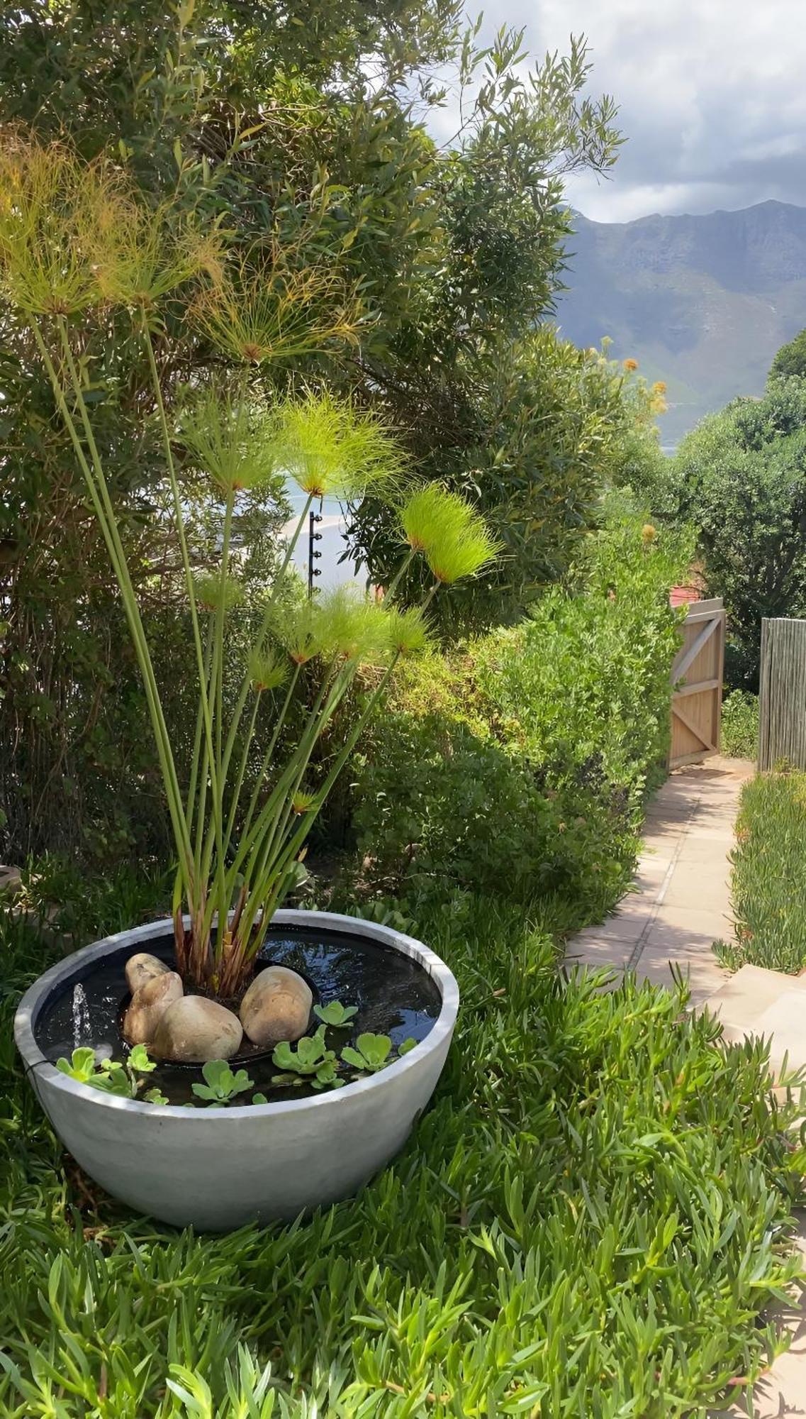 Beautiful View Garden Apartment Cape Town Ngoại thất bức ảnh